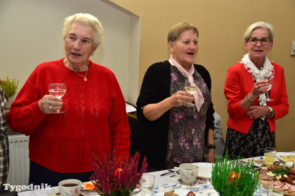 Zabawa taneczna Klubu Senior+ w Wielkim Mędromierzu