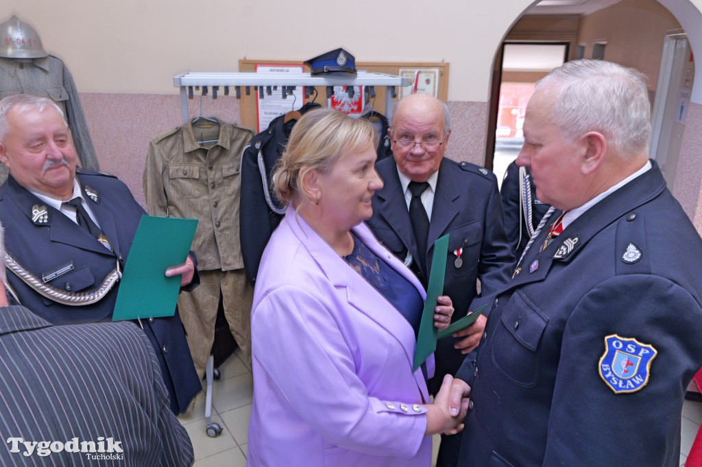 Powiatowe spotkanie weteranów OSP w Minikowie