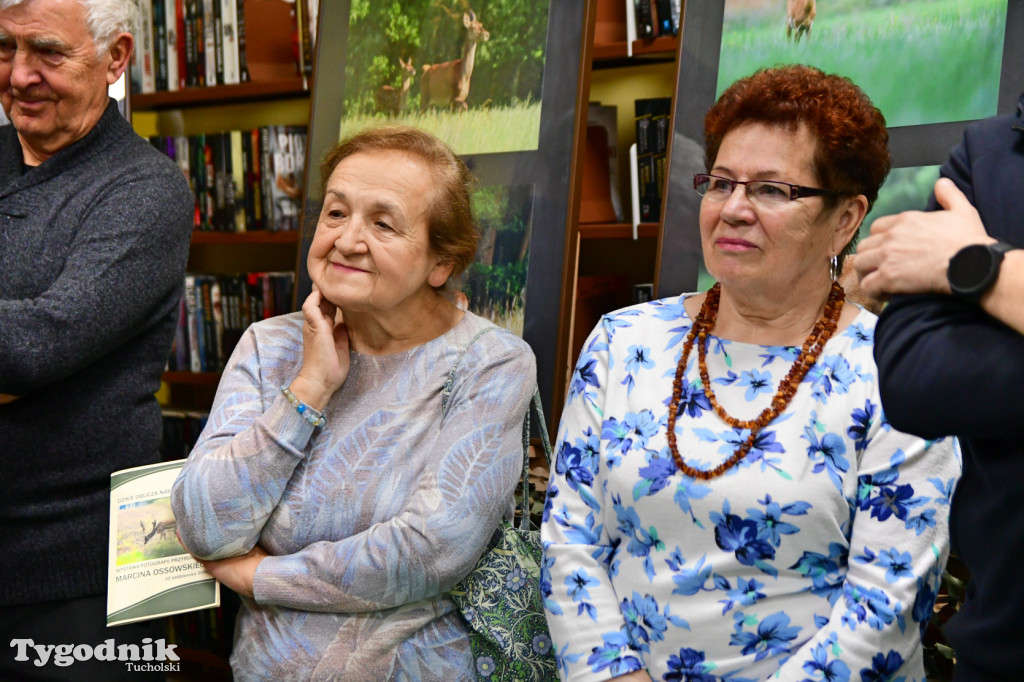 Osa w bibliotece. Wystawa Marcina Ossowskiego