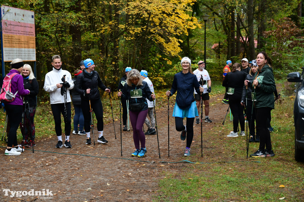 XVI Bieg św. Huberta / START – nordic walking i bieg