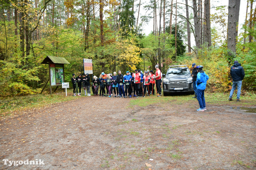 XVI Bieg św. Huberta / START – nordic walking i bieg
