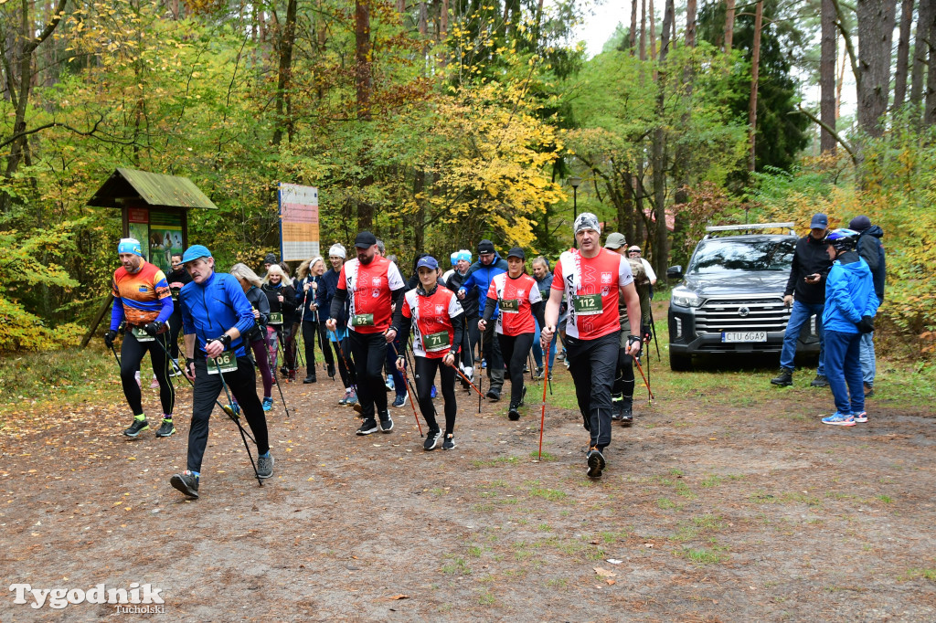 XVI Bieg św. Huberta / START – nordic walking i bieg