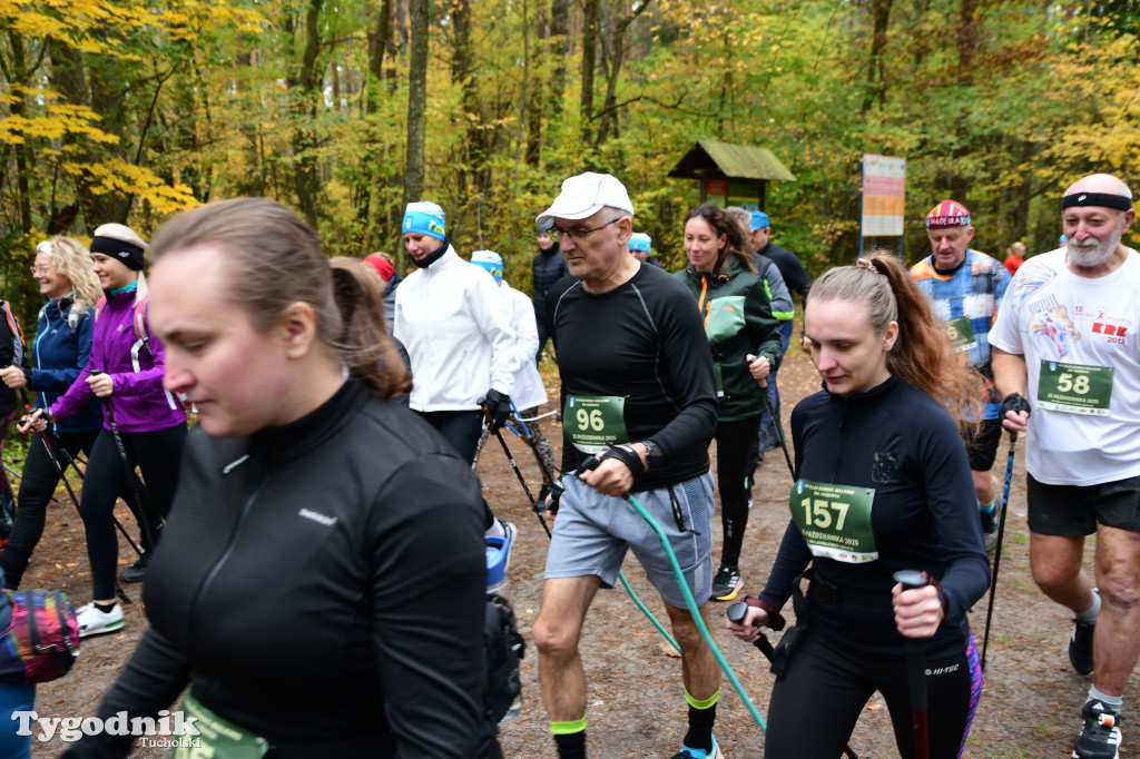 XVI Bieg św. Huberta / START – nordic walking i bieg