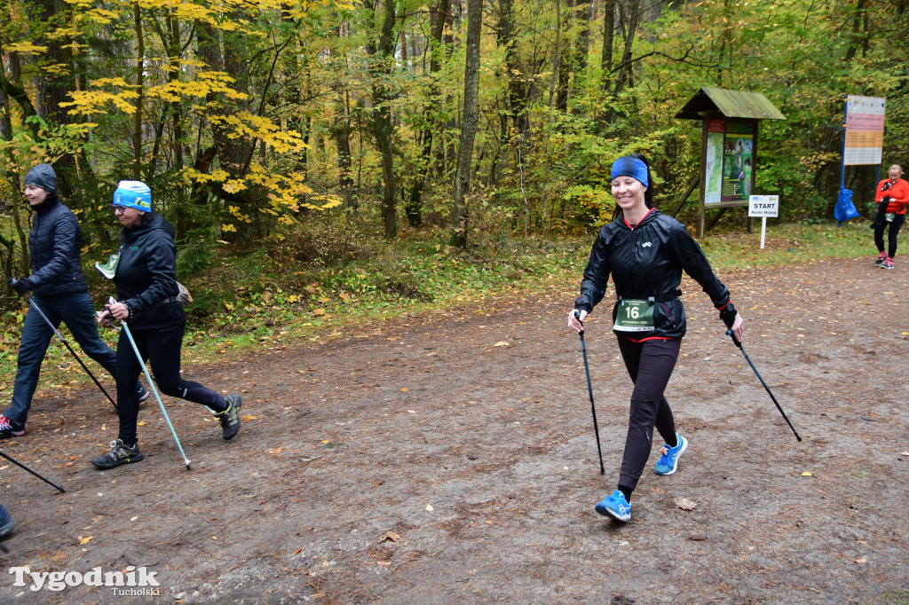 XVI Bieg św. Huberta / START – nordic walking i bieg