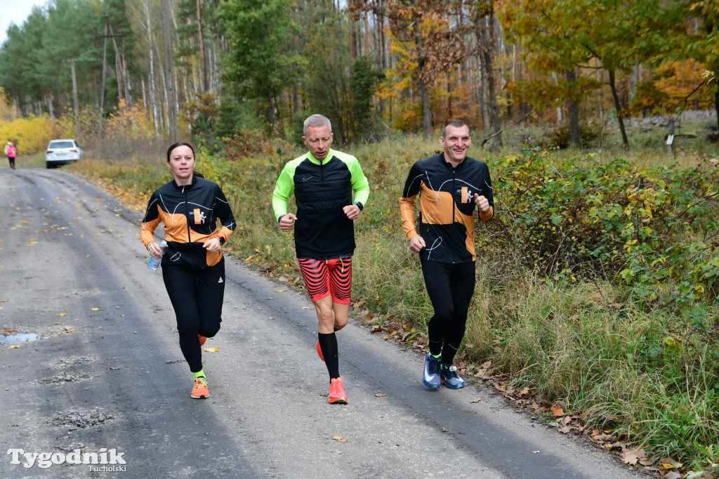 XVI Bieg św. Huberta / START – nordic walking i bieg
