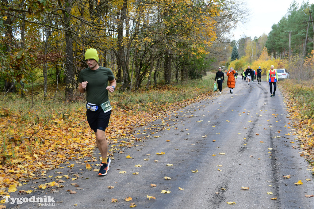 XVI Bieg św. Huberta / START – nordic walking i bieg