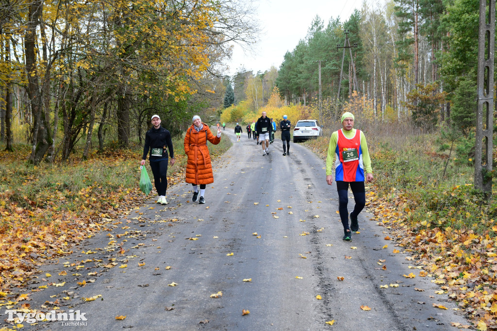 XVI Bieg św. Huberta / START – nordic walking i bieg