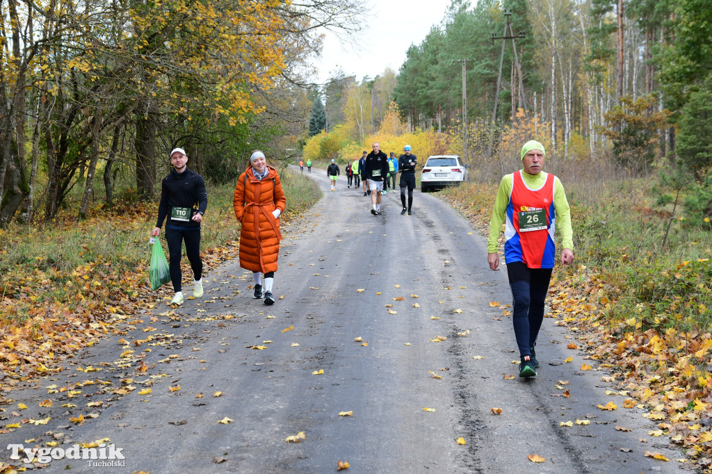 XVI Bieg św. Huberta / START – nordic walking i bieg