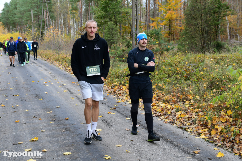 XVI Bieg św. Huberta / START – nordic walking i bieg