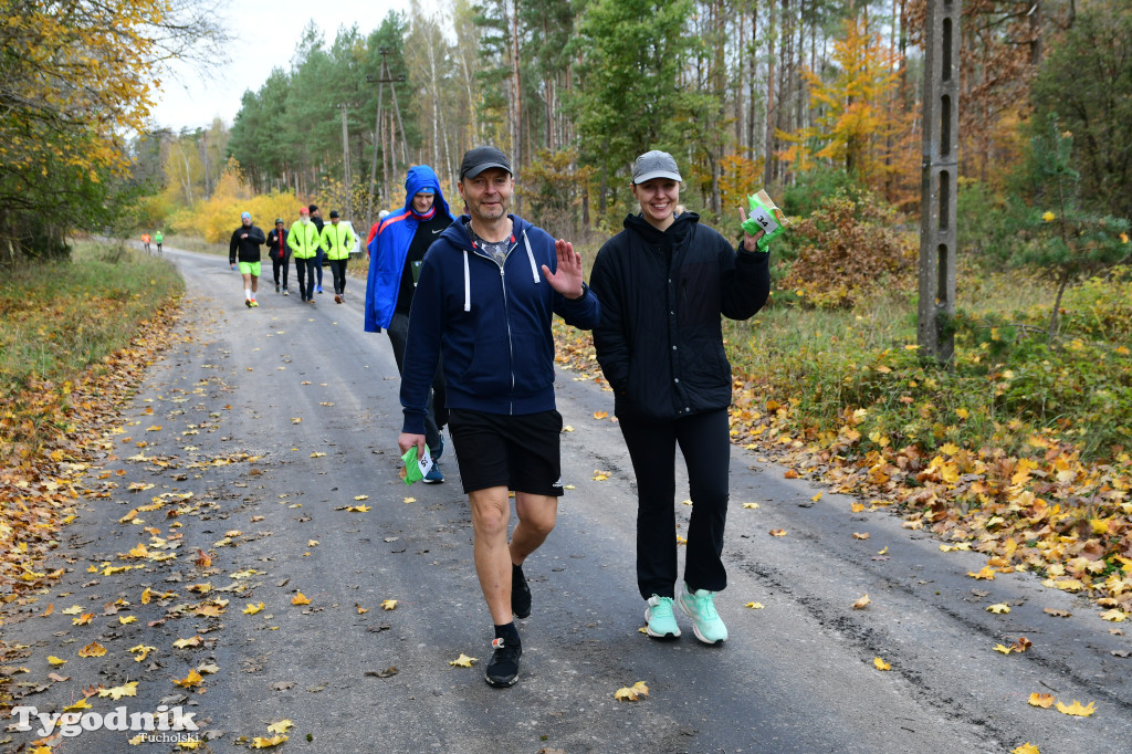 XVI Bieg św. Huberta / START – nordic walking i bieg