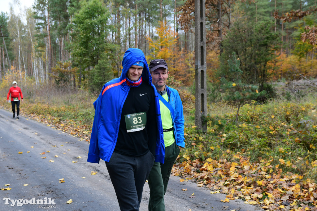 XVI Bieg św. Huberta / START – nordic walking i bieg