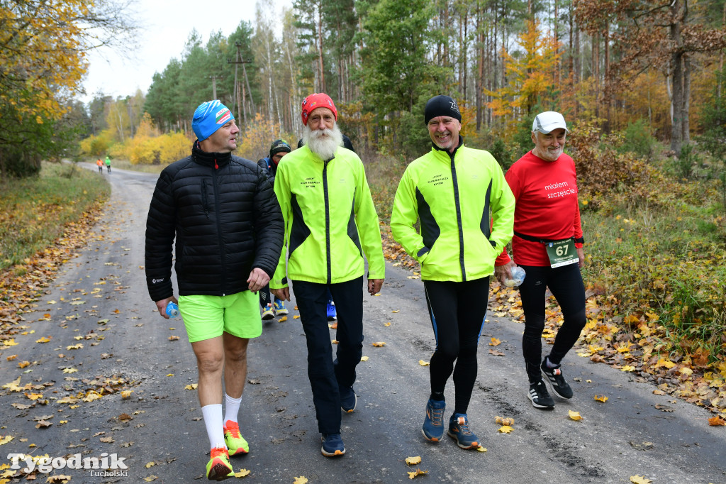 XVI Bieg św. Huberta / START – nordic walking i bieg