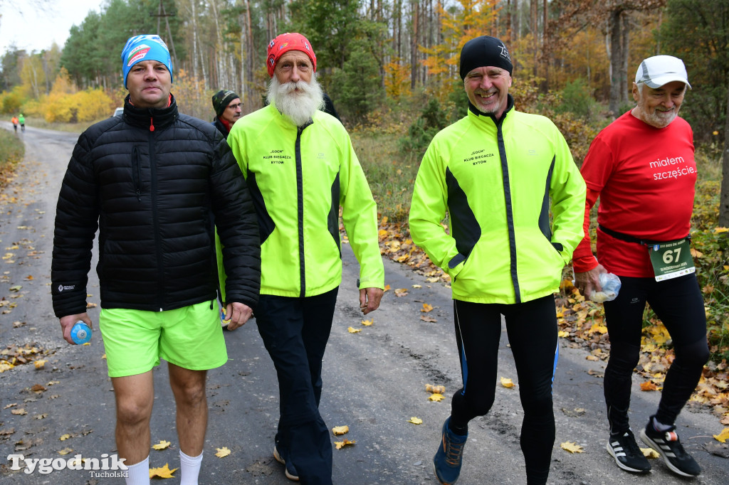 XVI Bieg św. Huberta / START – nordic walking i bieg