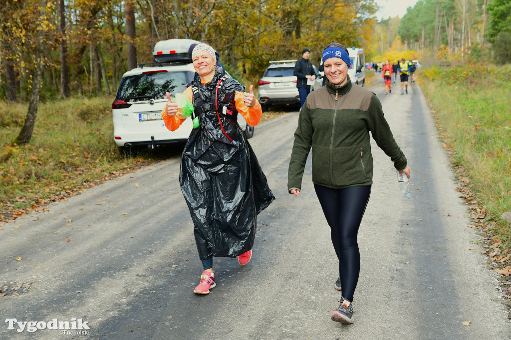 XVI Bieg św. Huberta / START – nordic walking i bieg