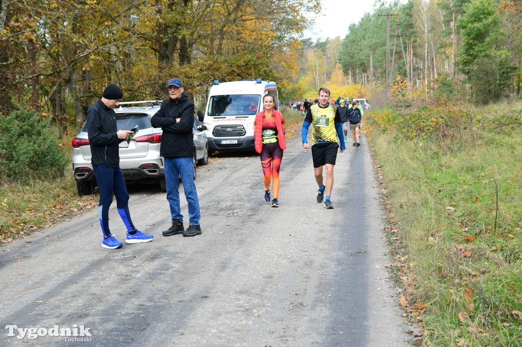 XVI Bieg św. Huberta / START – nordic walking i bieg