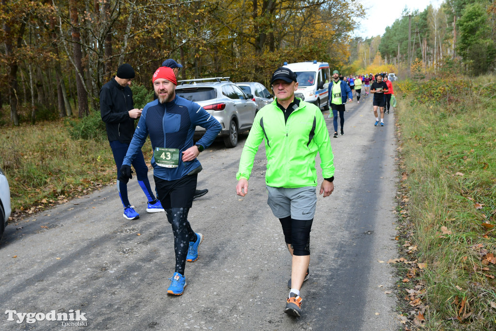 XVI Bieg św. Huberta / START – nordic walking i bieg