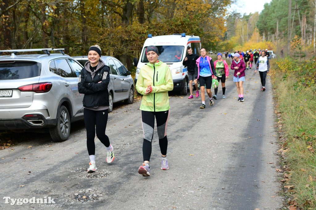 XVI Bieg św. Huberta / START – nordic walking i bieg