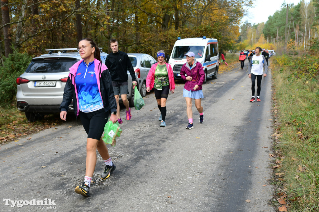 XVI Bieg św. Huberta / START – nordic walking i bieg
