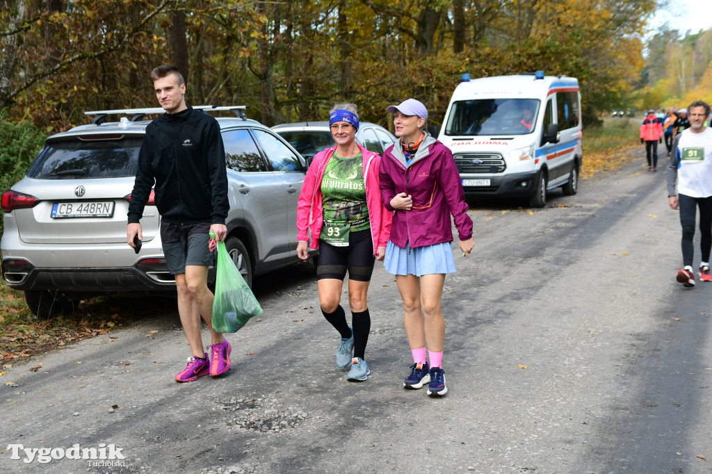 XVI Bieg św. Huberta / START – nordic walking i bieg