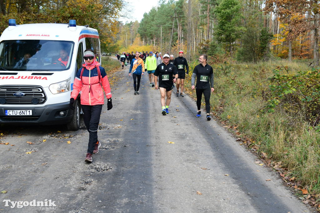 XVI Bieg św. Huberta / START – nordic walking i bieg