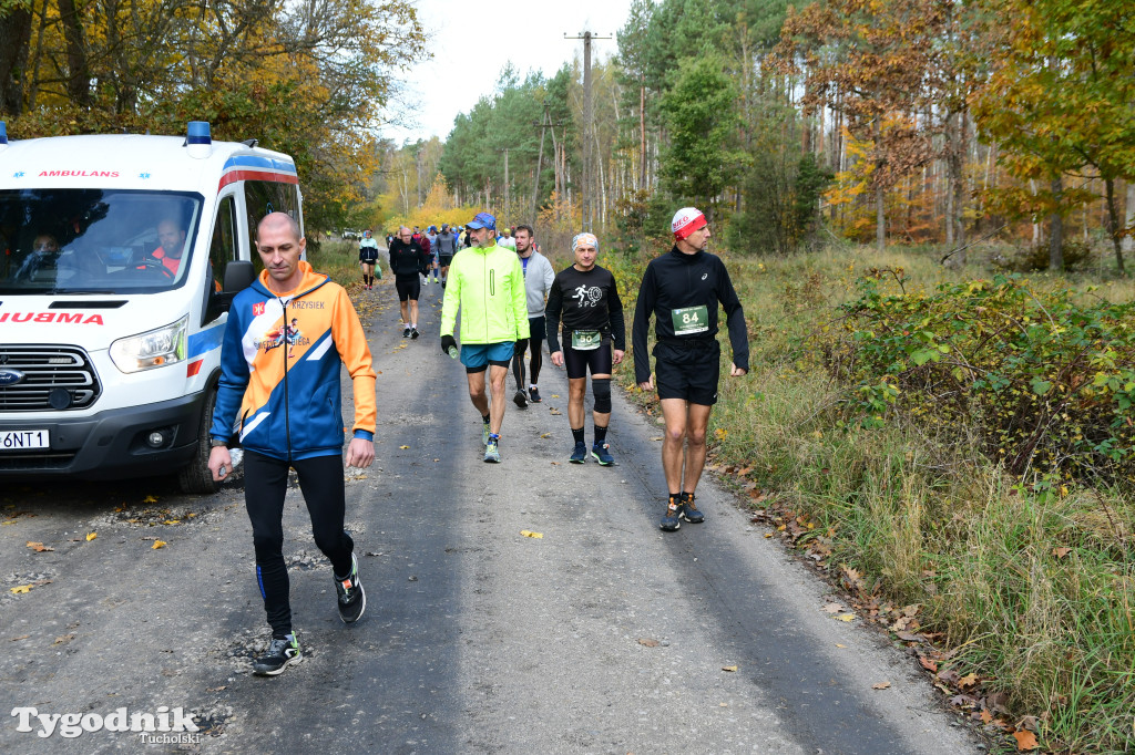 XVI Bieg św. Huberta / START – nordic walking i bieg