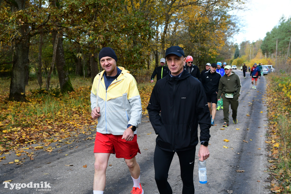 XVI Bieg św. Huberta / START – nordic walking i bieg