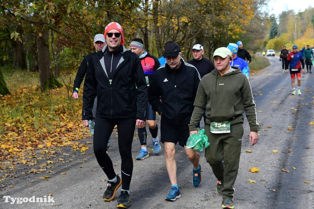 XVI Bieg św. Huberta / START – nordic walking i bieg