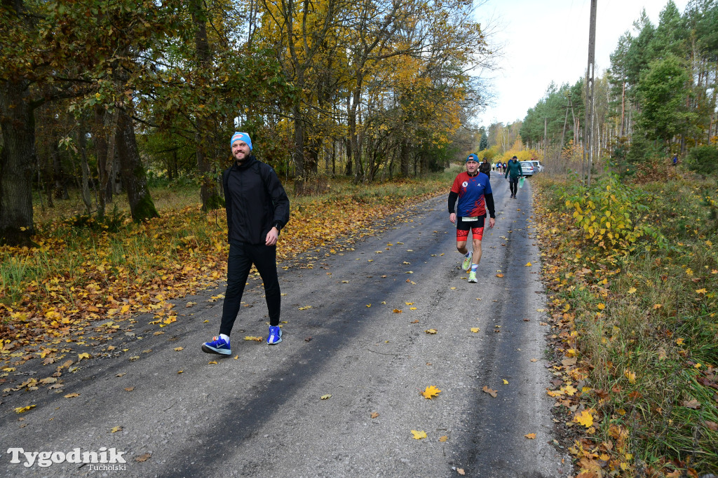 XVI Bieg św. Huberta / START – nordic walking i bieg
