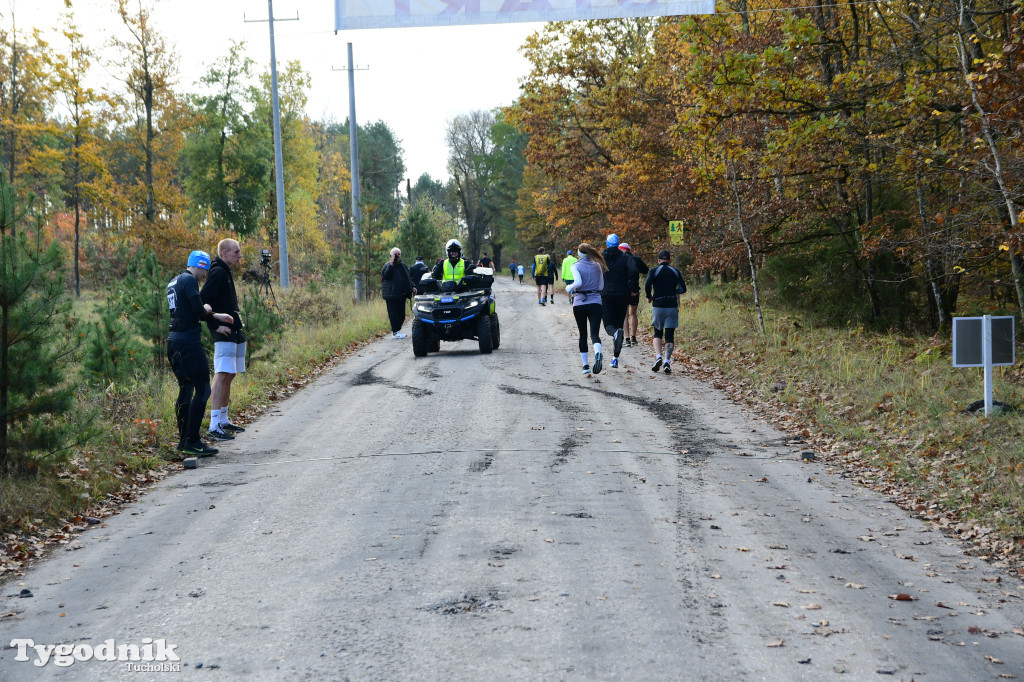 XVI Bieg św. Huberta / START – nordic walking i bieg