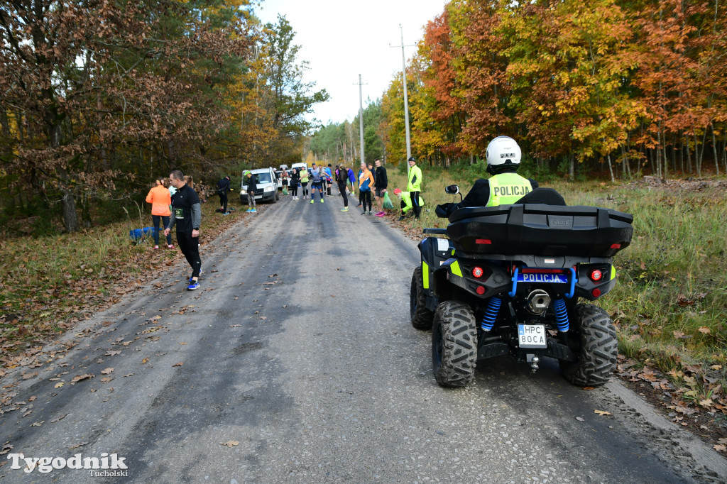 XVI Bieg św. Huberta / START – nordic walking i bieg