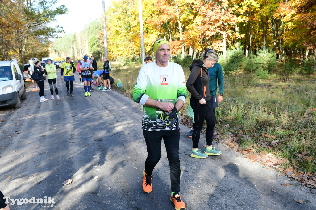 XVI Bieg św. Huberta / START – nordic walking i bieg