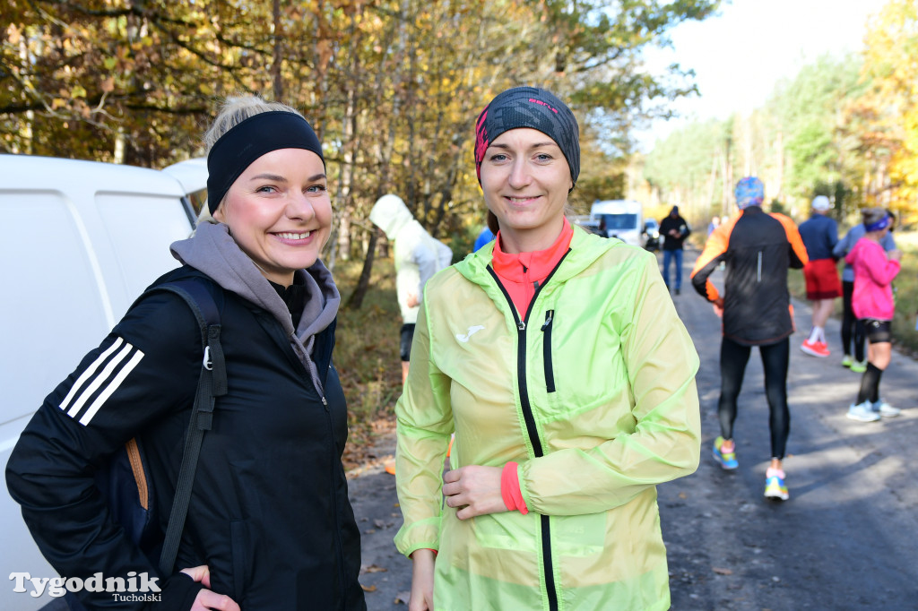 XVI Bieg św. Huberta / START – nordic walking i bieg
