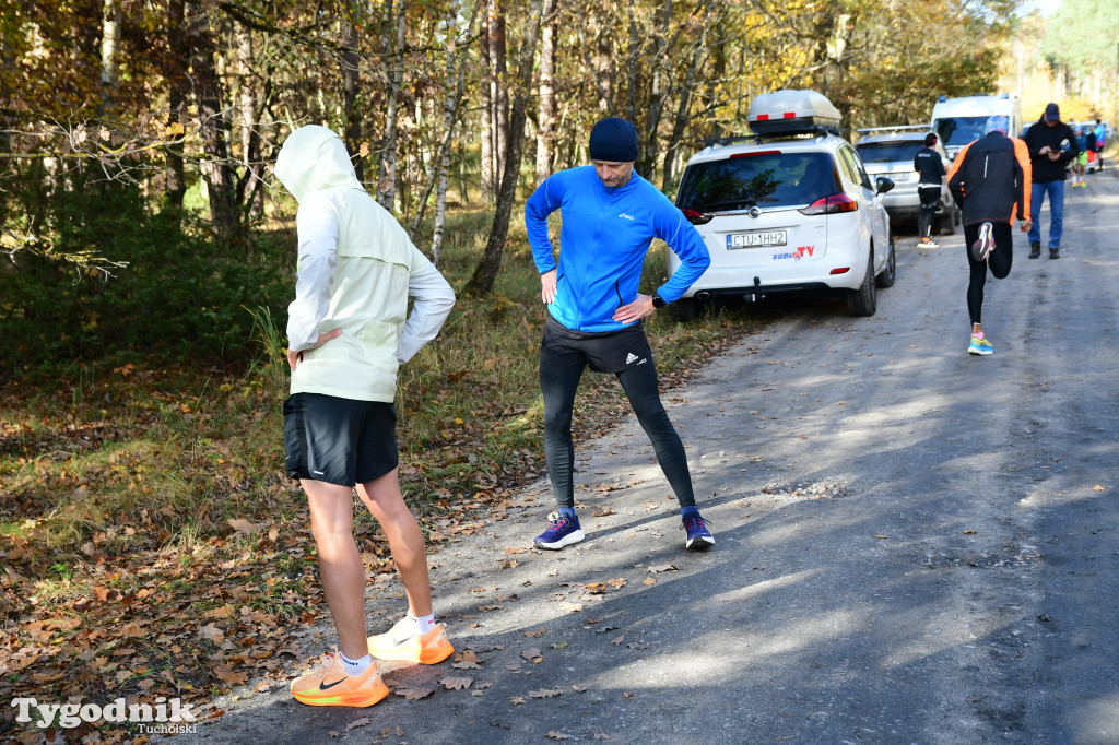 XVI Bieg św. Huberta / START – nordic walking i bieg