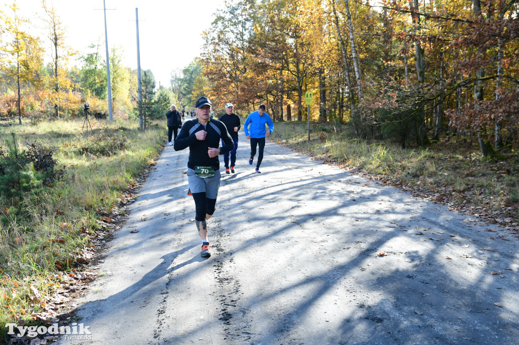 XVI Bieg św. Huberta / START – nordic walking i bieg
