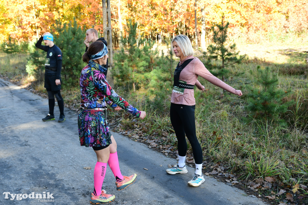 XVI Bieg św. Huberta / START – nordic walking i bieg