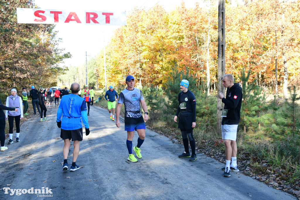 XVI Bieg św. Huberta / START – nordic walking i bieg