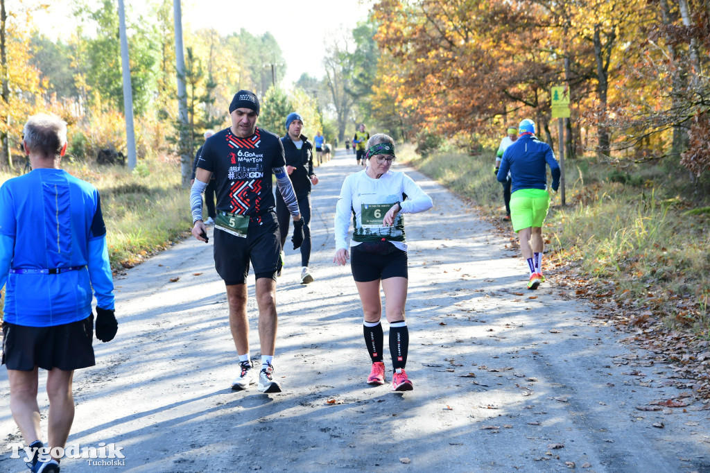 XVI Bieg św. Huberta / START – nordic walking i bieg