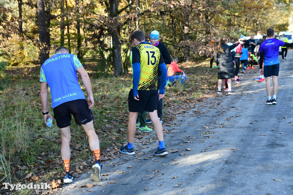 XVI Bieg św. Huberta / START – nordic walking i bieg