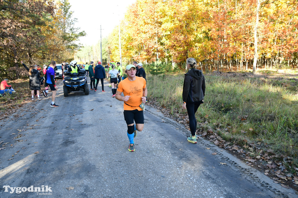XVI Bieg św. Huberta / START – nordic walking i bieg
