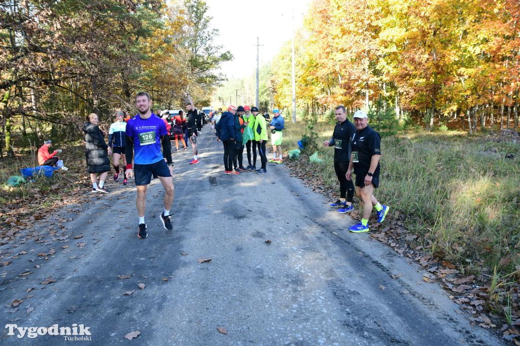 XVI Bieg św. Huberta / START – nordic walking i bieg