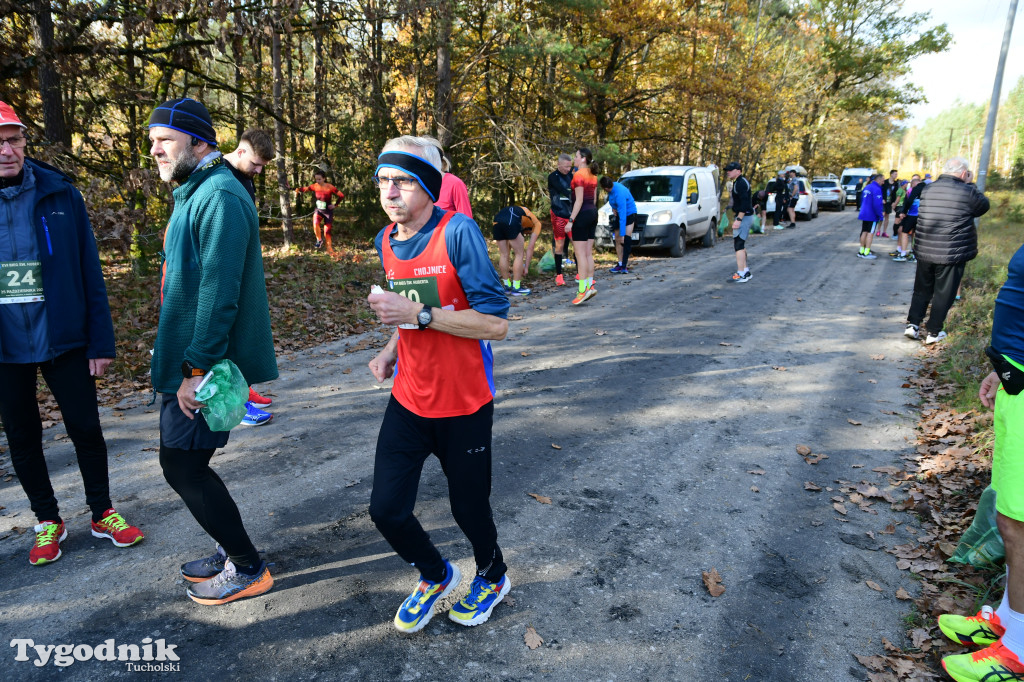 XVI Bieg św. Huberta / START – nordic walking i bieg