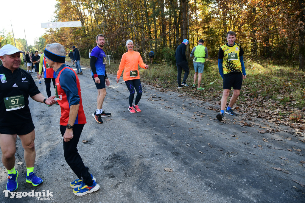 XVI Bieg św. Huberta / START – nordic walking i bieg