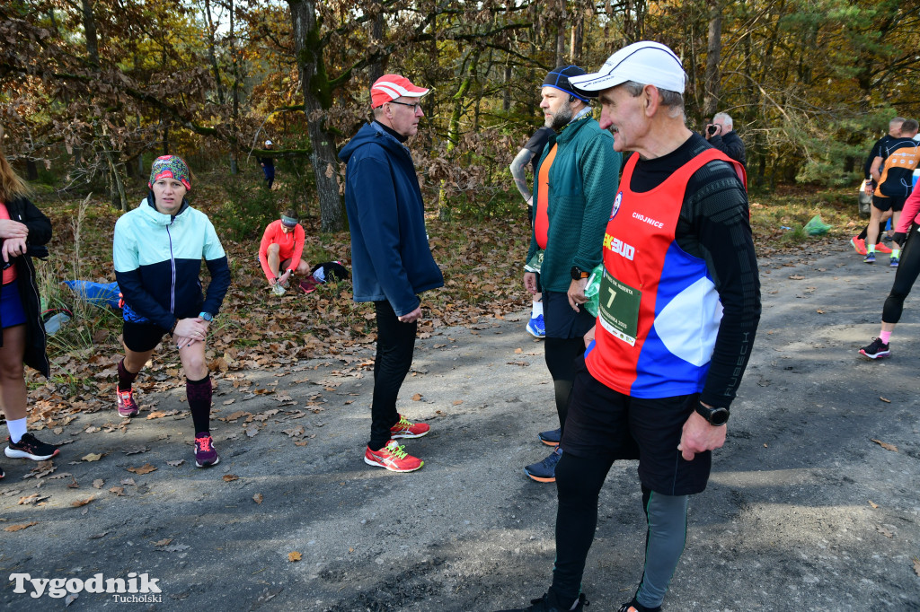XVI Bieg św. Huberta / START – nordic walking i bieg