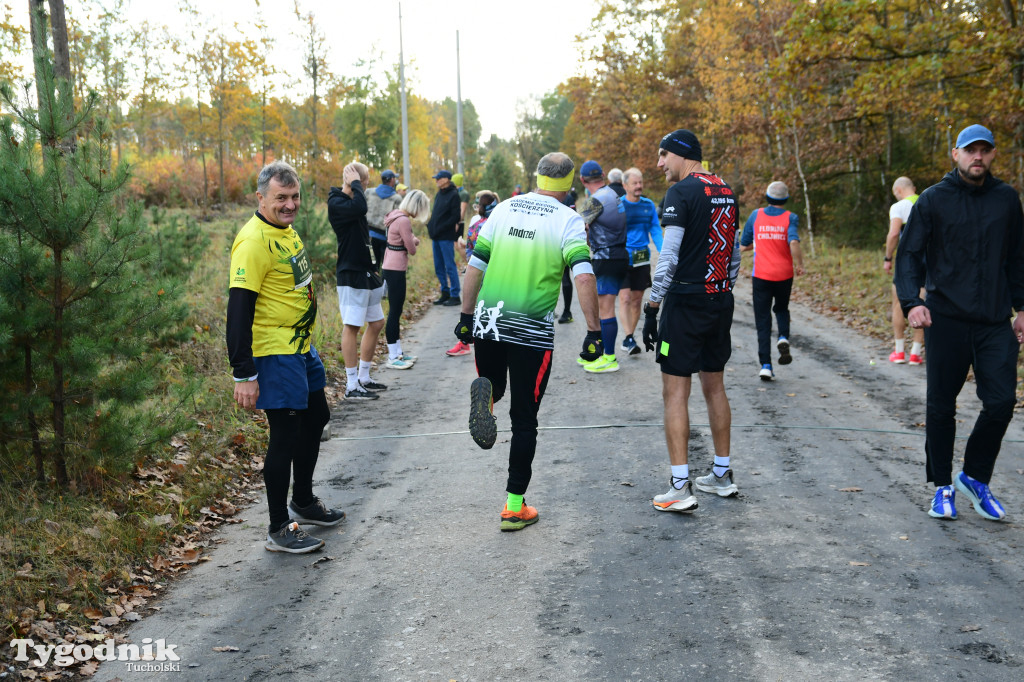 XVI Bieg św. Huberta / START – nordic walking i bieg