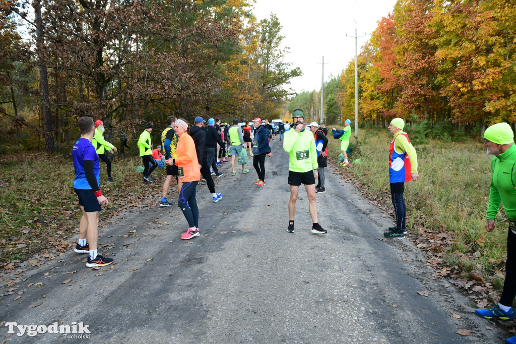 XVI Bieg św. Huberta / START – nordic walking i bieg