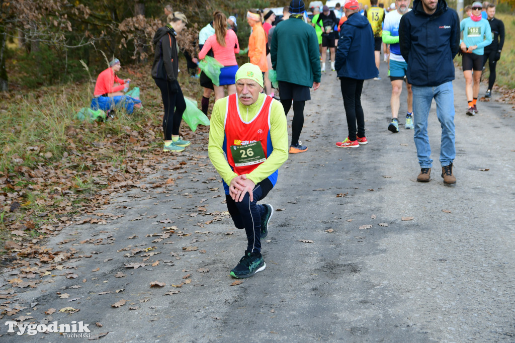 XVI Bieg św. Huberta / START – nordic walking i bieg