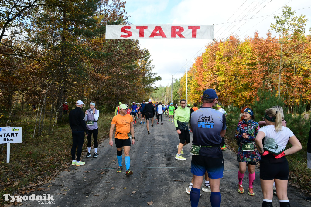 XVI Bieg św. Huberta / START – nordic walking i bieg