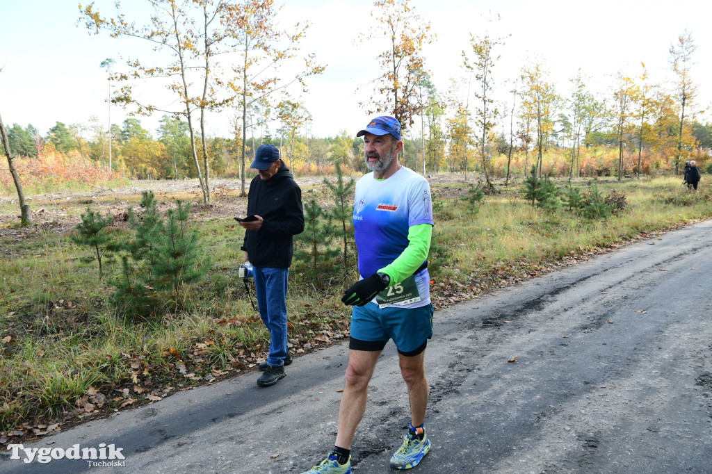 XVI Bieg św. Huberta / START – nordic walking i bieg