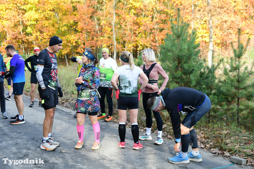 XVI Bieg św. Huberta / START – nordic walking i bieg