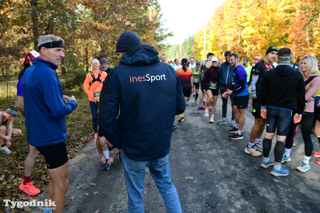 XVI Bieg św. Huberta / START – nordic walking i bieg